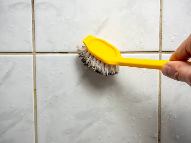Best Post-Remediation Services in Wrightstown, WI