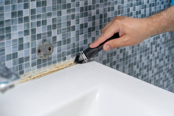 Best Commercial Mold Remediation in Wrightstown, WI